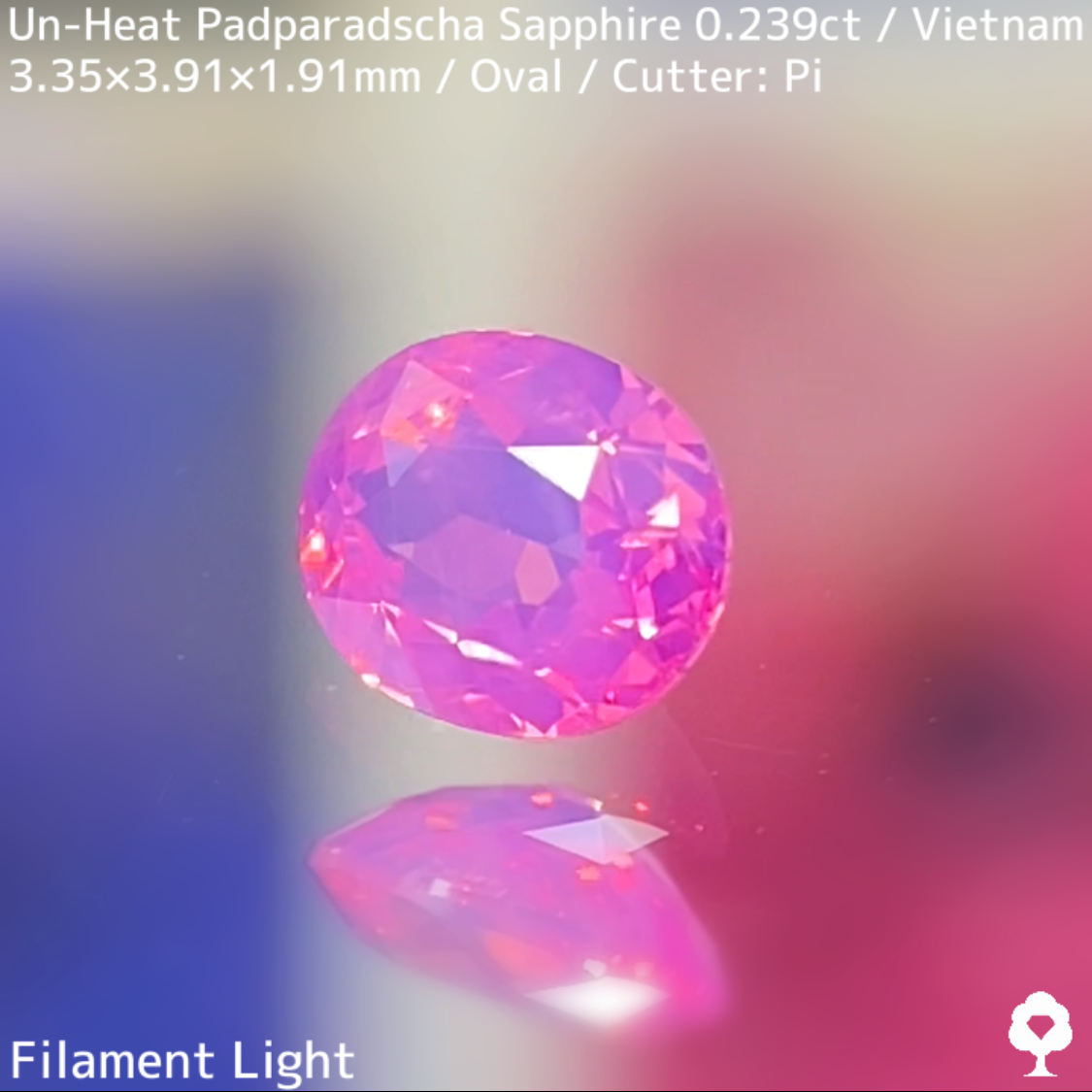 Un-Heat Padparadscha Sapphire 0.239ct / Vietnam