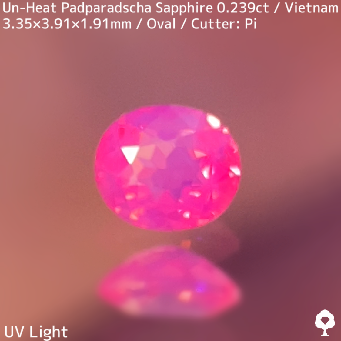 Un-Heat Padparadscha Sapphire 0.239ct / Vietnam