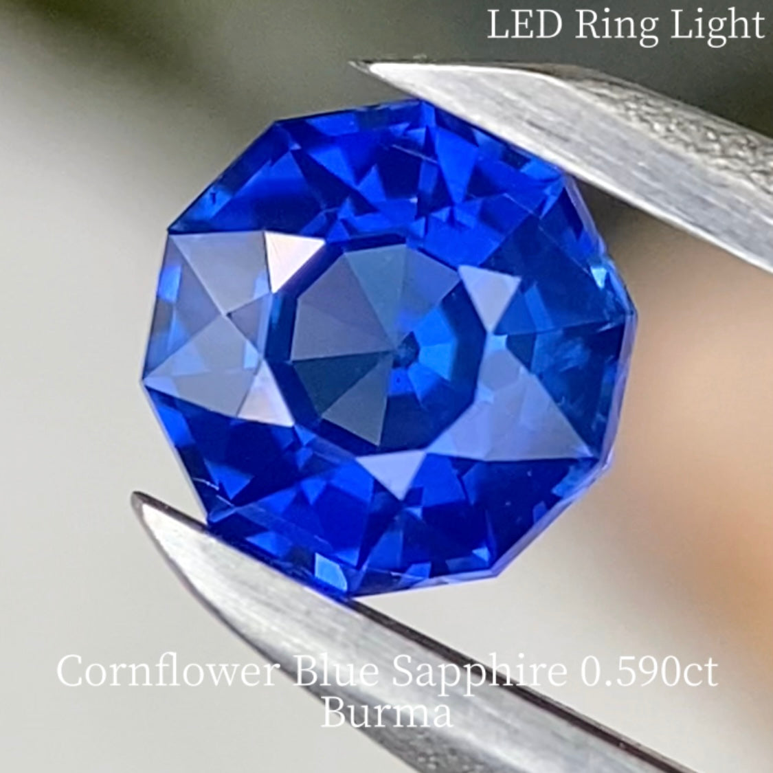 Cornflower Blue Sapphire 0.590ct / Burma