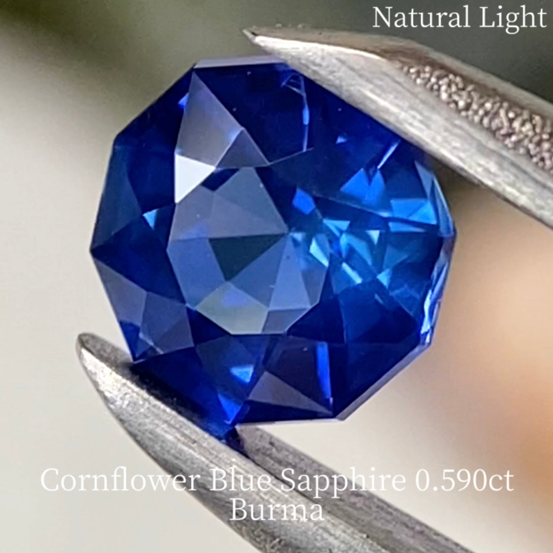 Cornflower Blue Sapphire 0.590ct / Burma