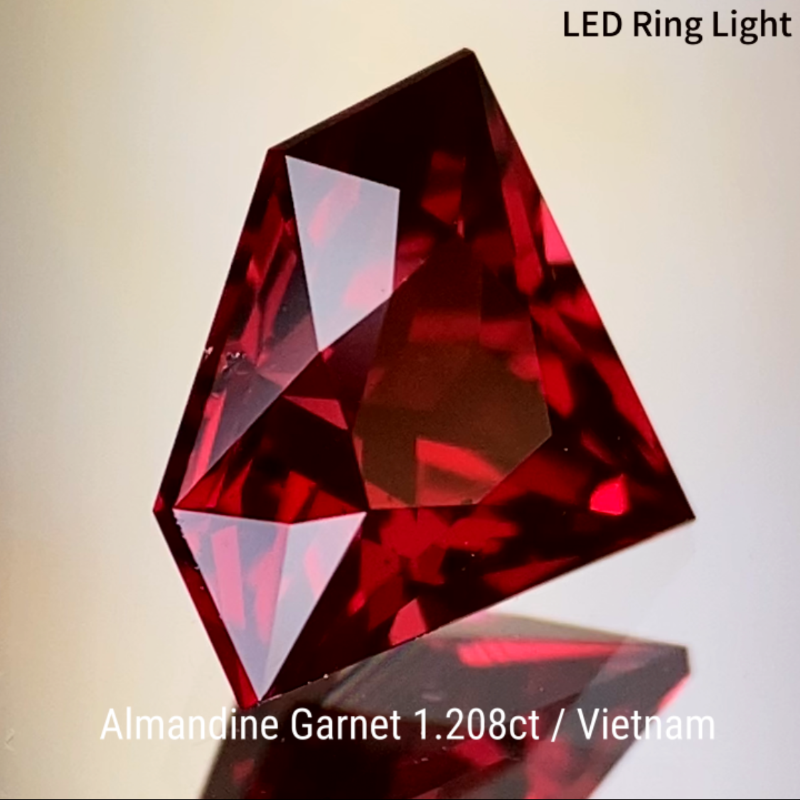 Almandine Garnet 1.208ct / Vietnam