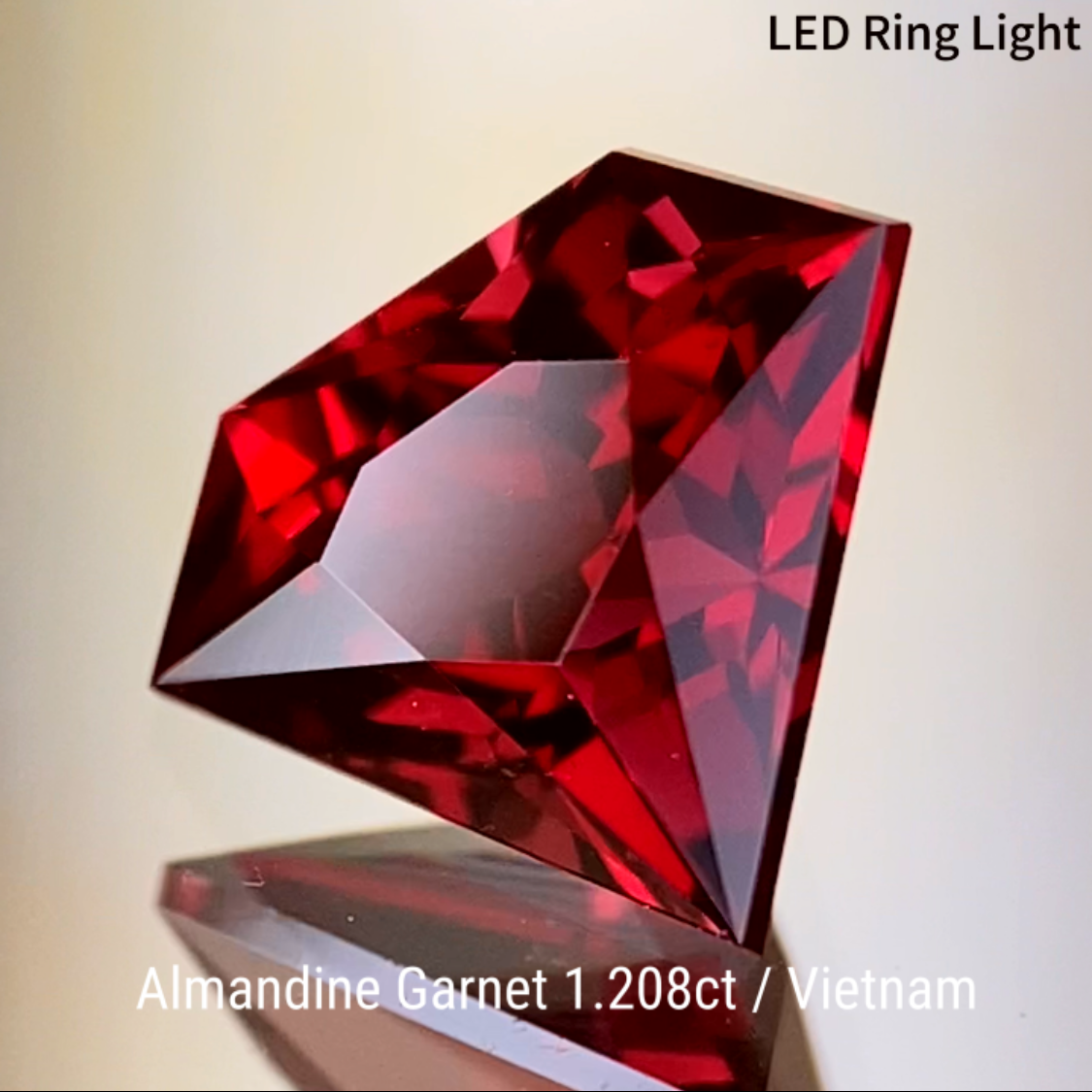 Almandine Garnet 1.208ct / Vietnam
