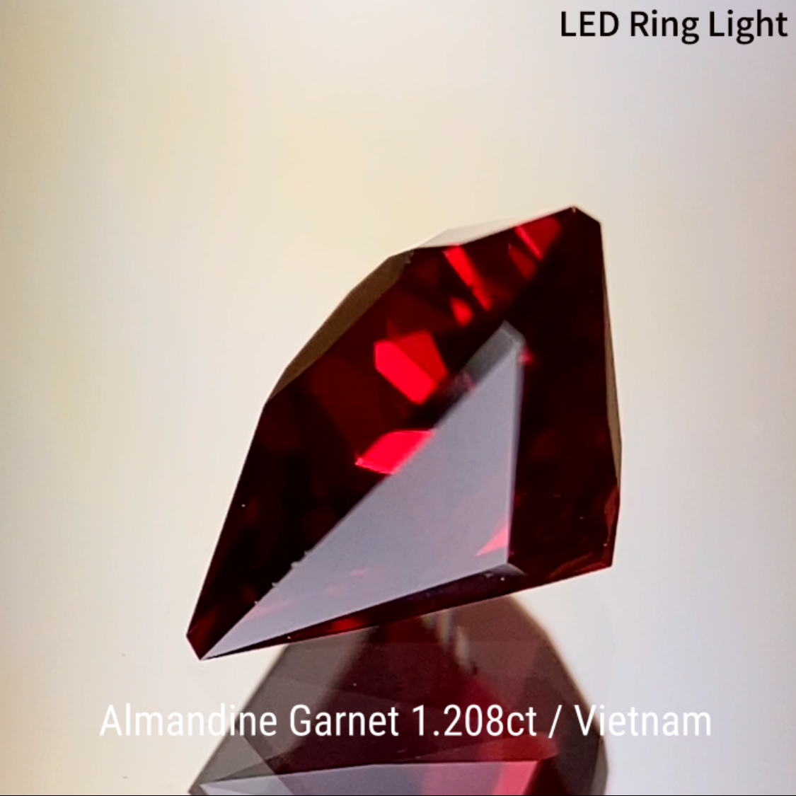 Almandine Garnet 1.208ct / Vietnam