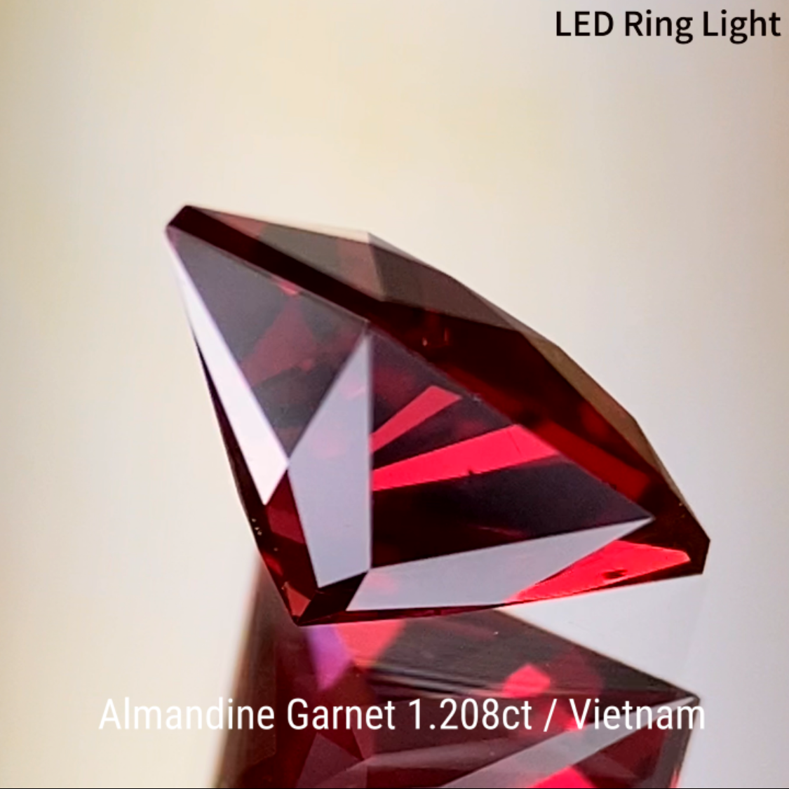 Almandine Garnet 1.208ct / Vietnam