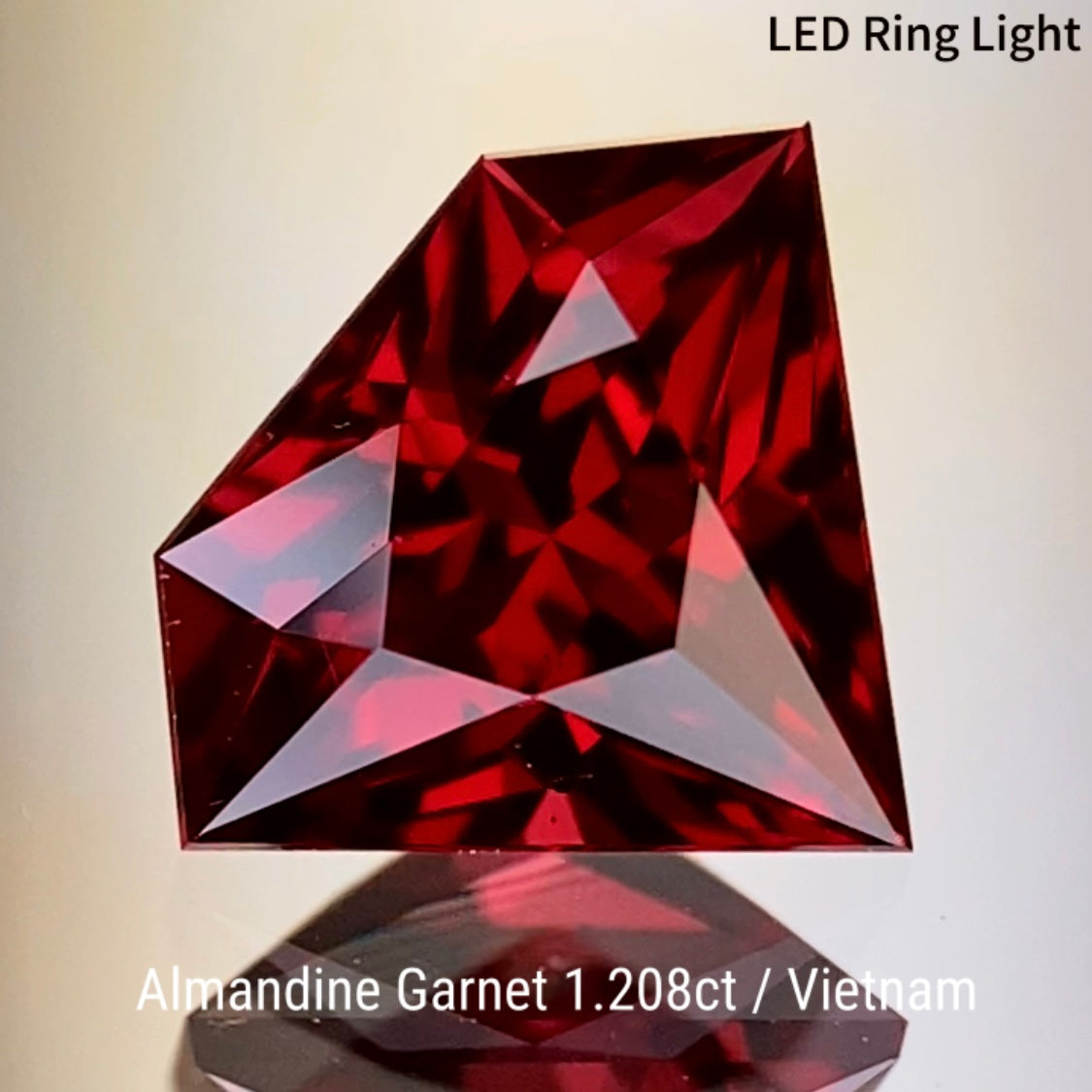 Almandine Garnet 1.208ct / Vietnam