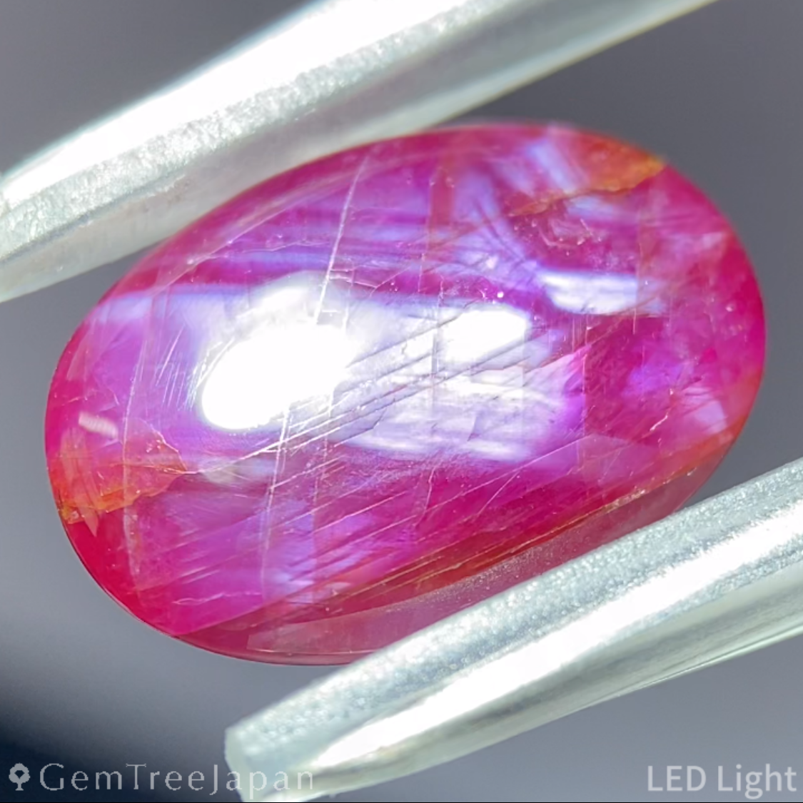 Un-Heat Star Ruby 7.402ct / Vietnam