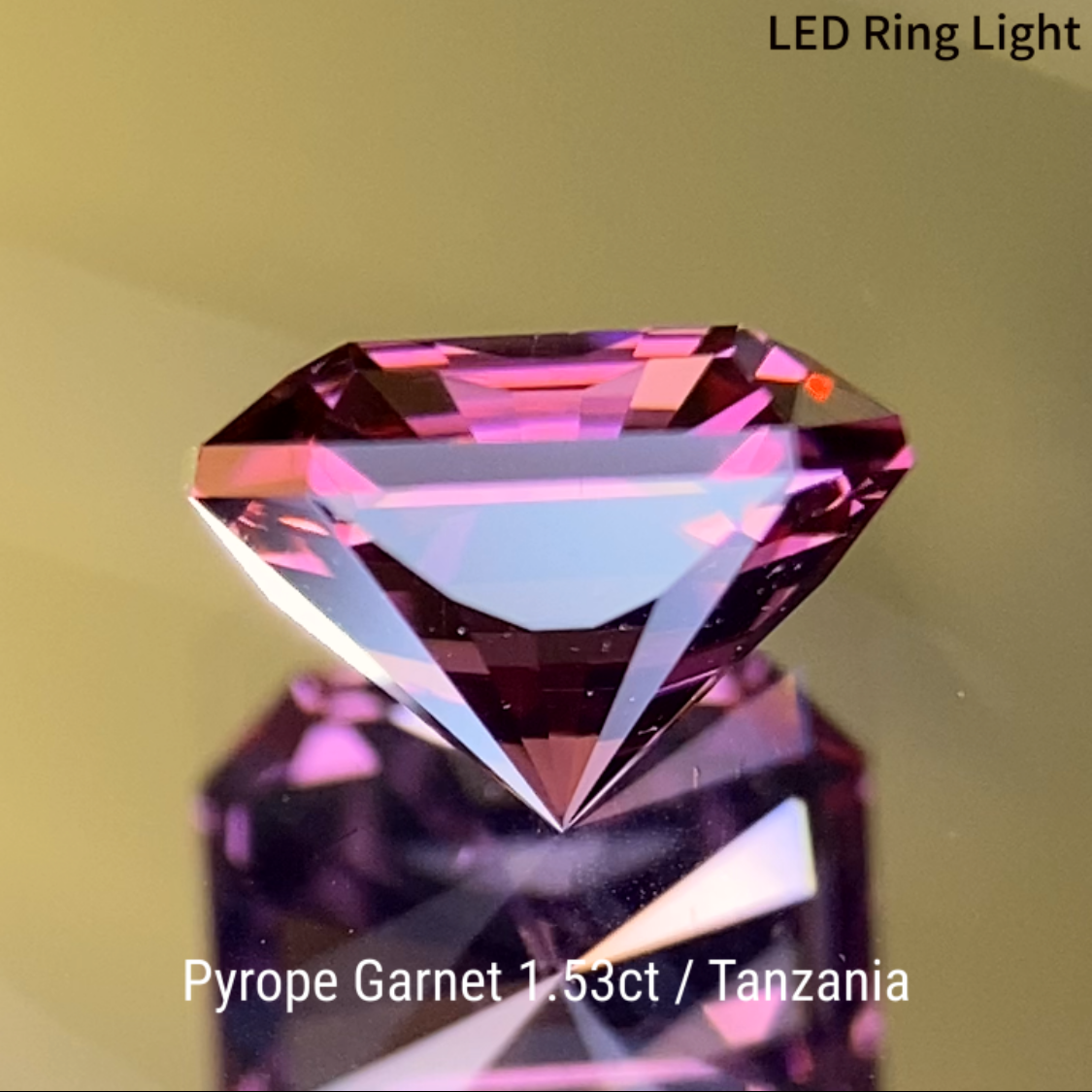 Pyrope Garnet 1.533ct / Tanzania