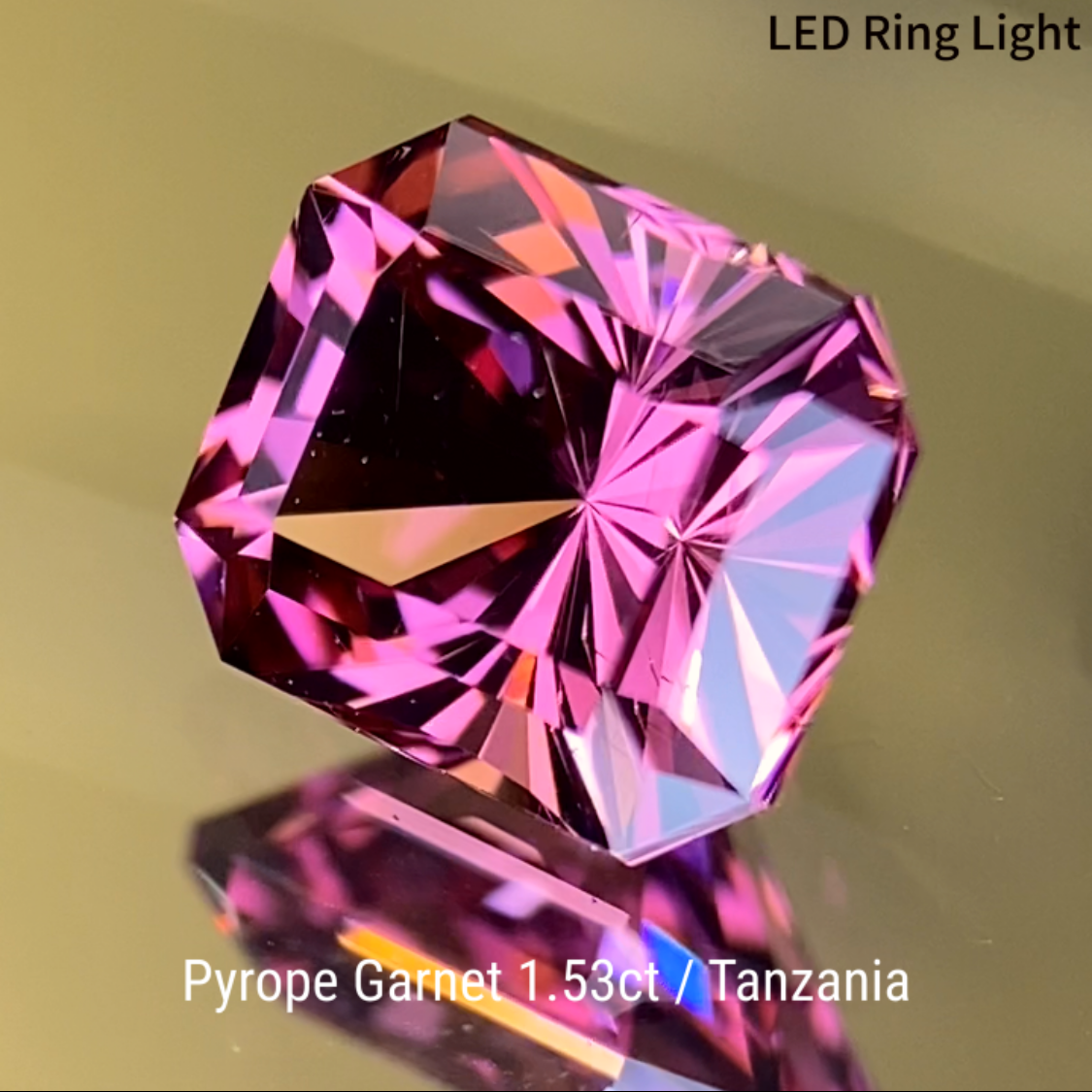 Pyrope Garnet 1.533ct / Tanzania