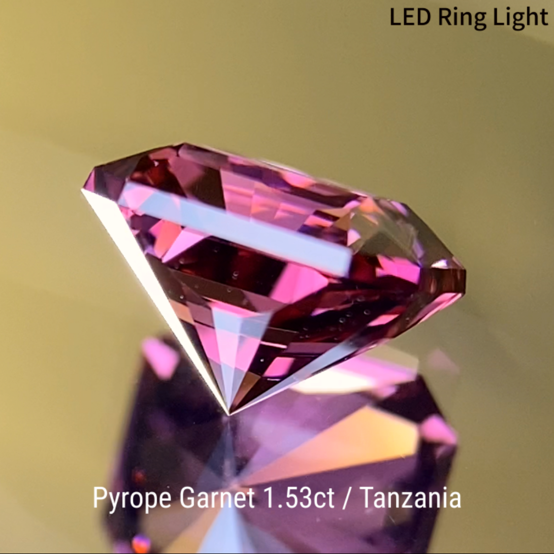 Pyrope Garnet 1.533ct / Tanzania