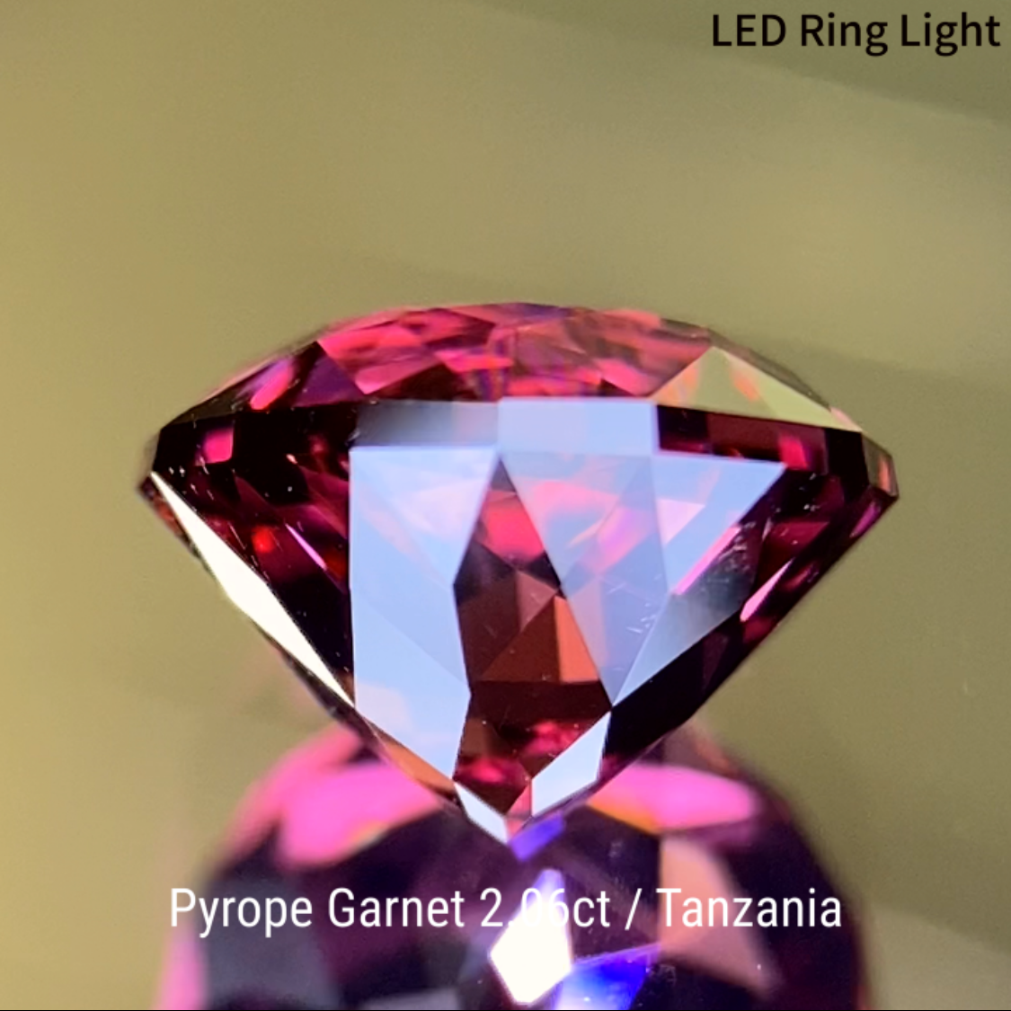 Pyrope Garnet 2.061ct / Tanzania
