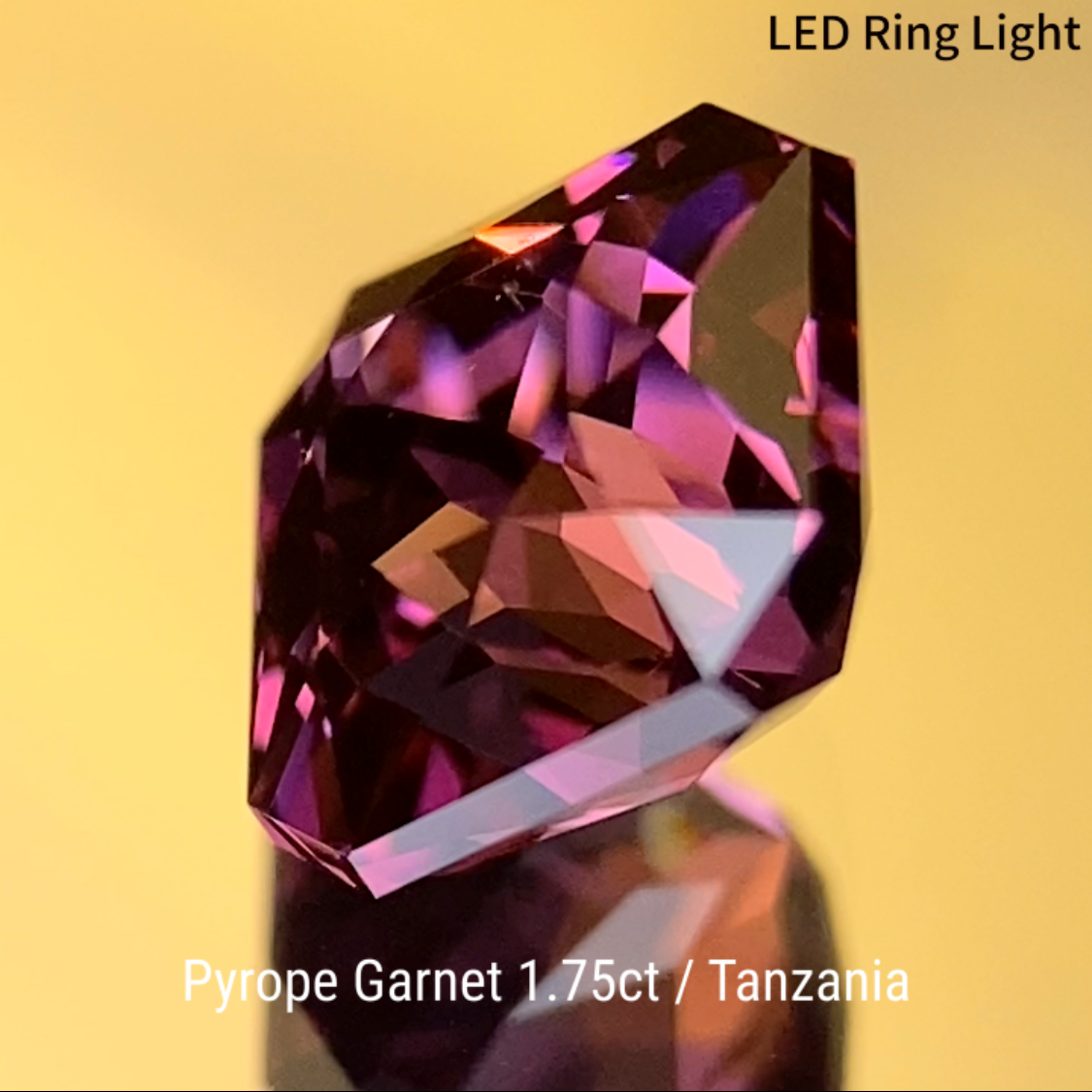Pyrope Garnet 1.754ct / Tanzania
