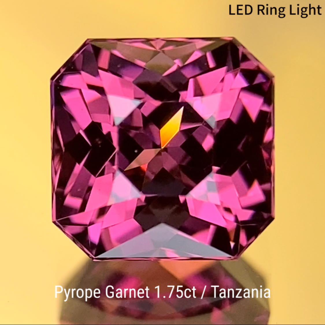 Pyrope Garnet 1.754ct / Tanzania