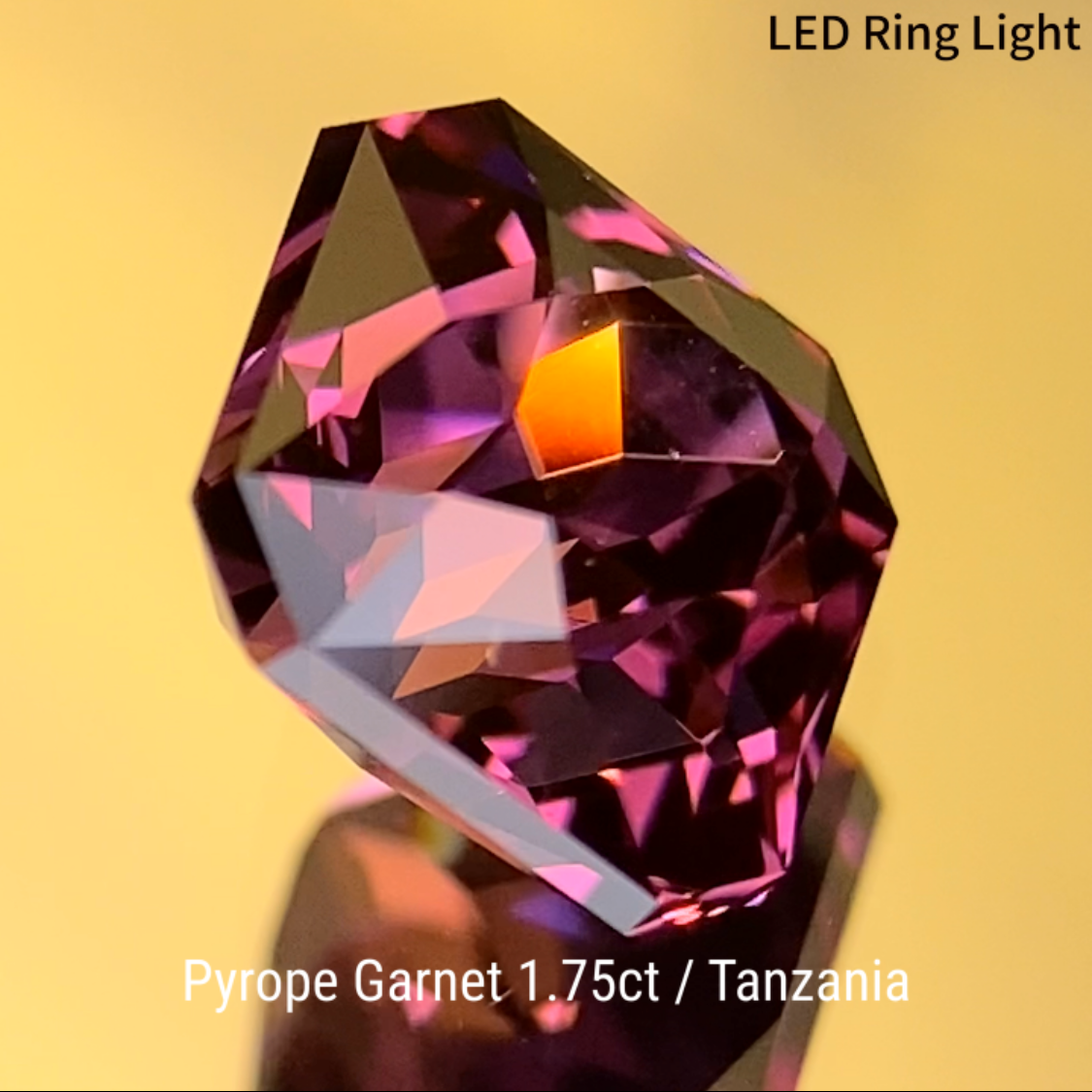 Pyrope Garnet 1.754ct / Tanzania
