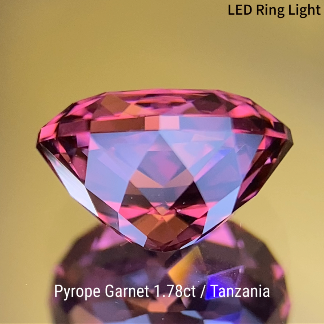 Pyrope Garnet 1.784ct / Tanzania