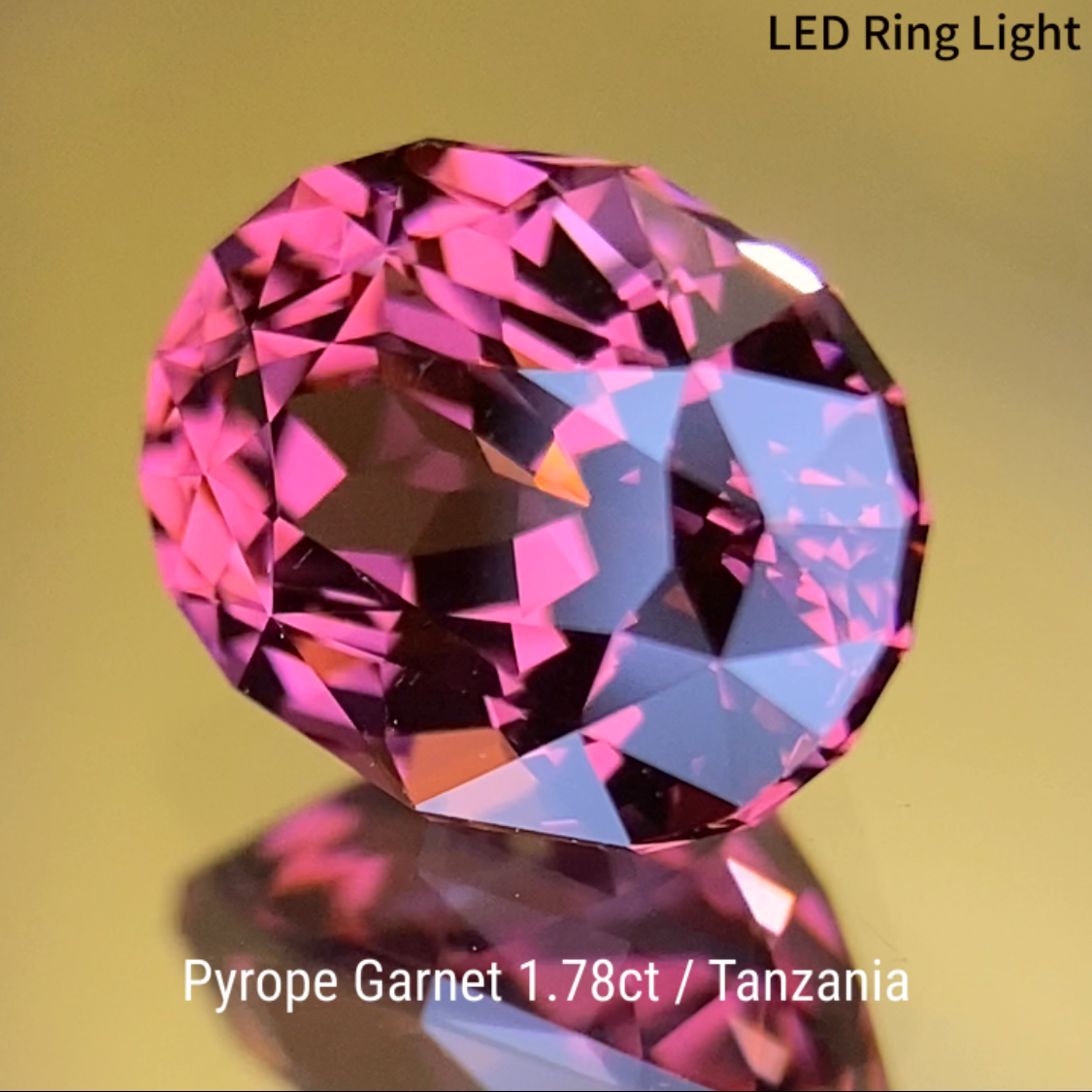 Pyrope Garnet 1.784ct / Tanzania