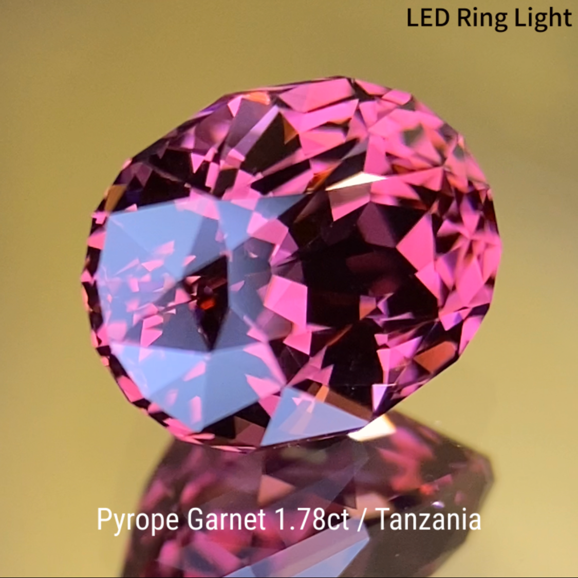 Pyrope Garnet 1.784ct / Tanzania