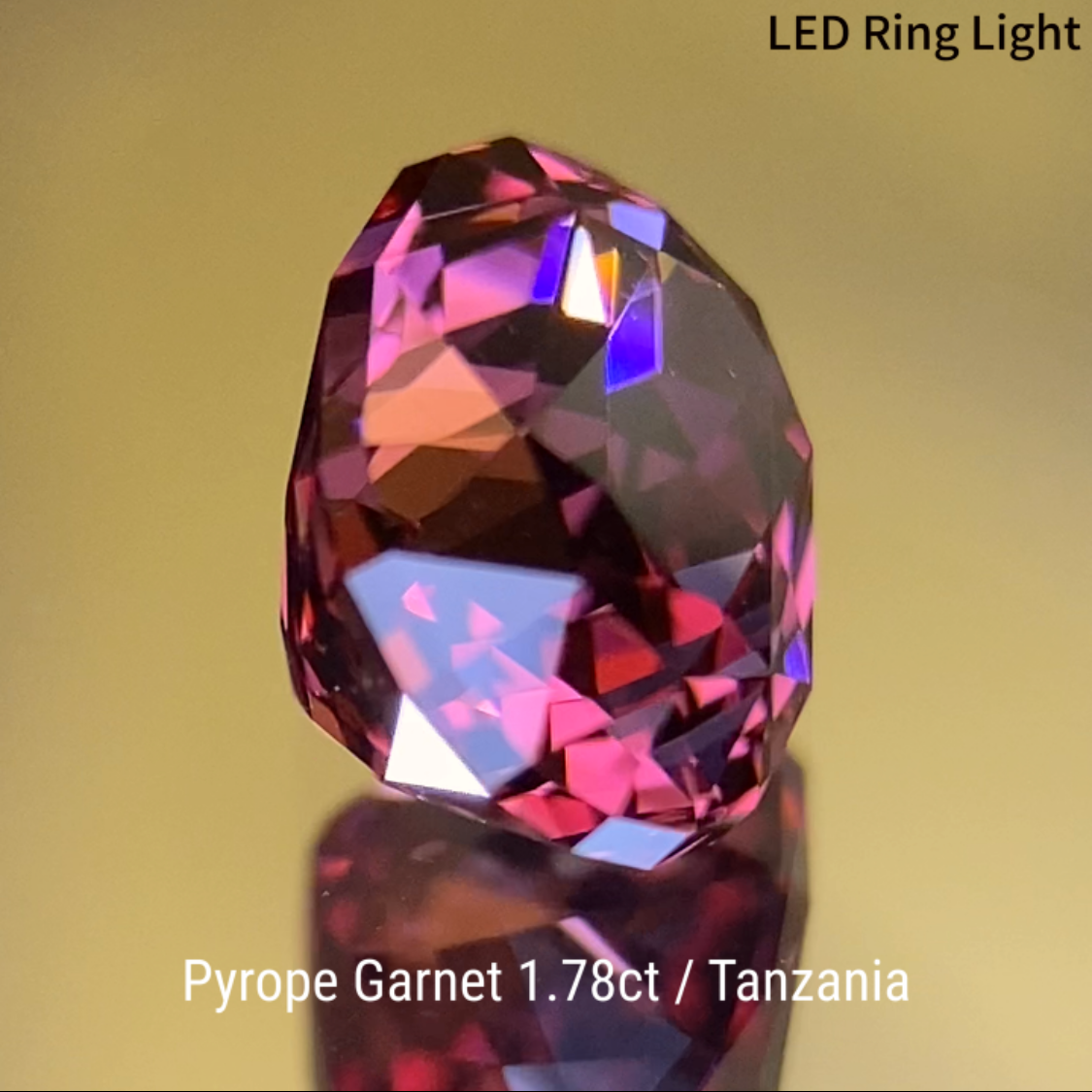 Pyrope Garnet 1.784ct / Tanzania