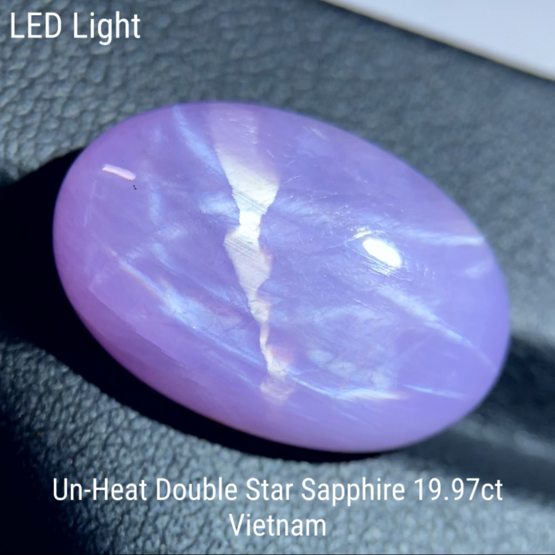 Un-Heat Double Star Sapphire 19.979ct / Vietnam