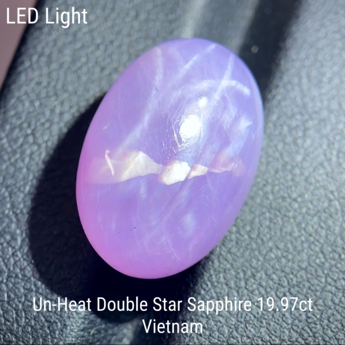 Un-Heat Double Star Sapphire 19.979ct / Vietnam
