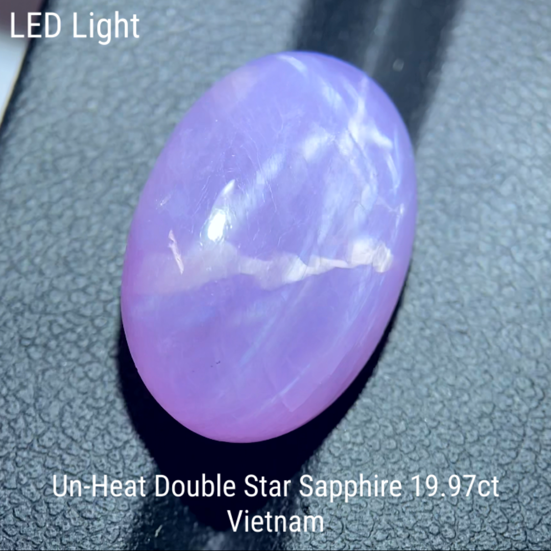 Un-Heat Double Star Sapphire 19.979ct / Vietnam