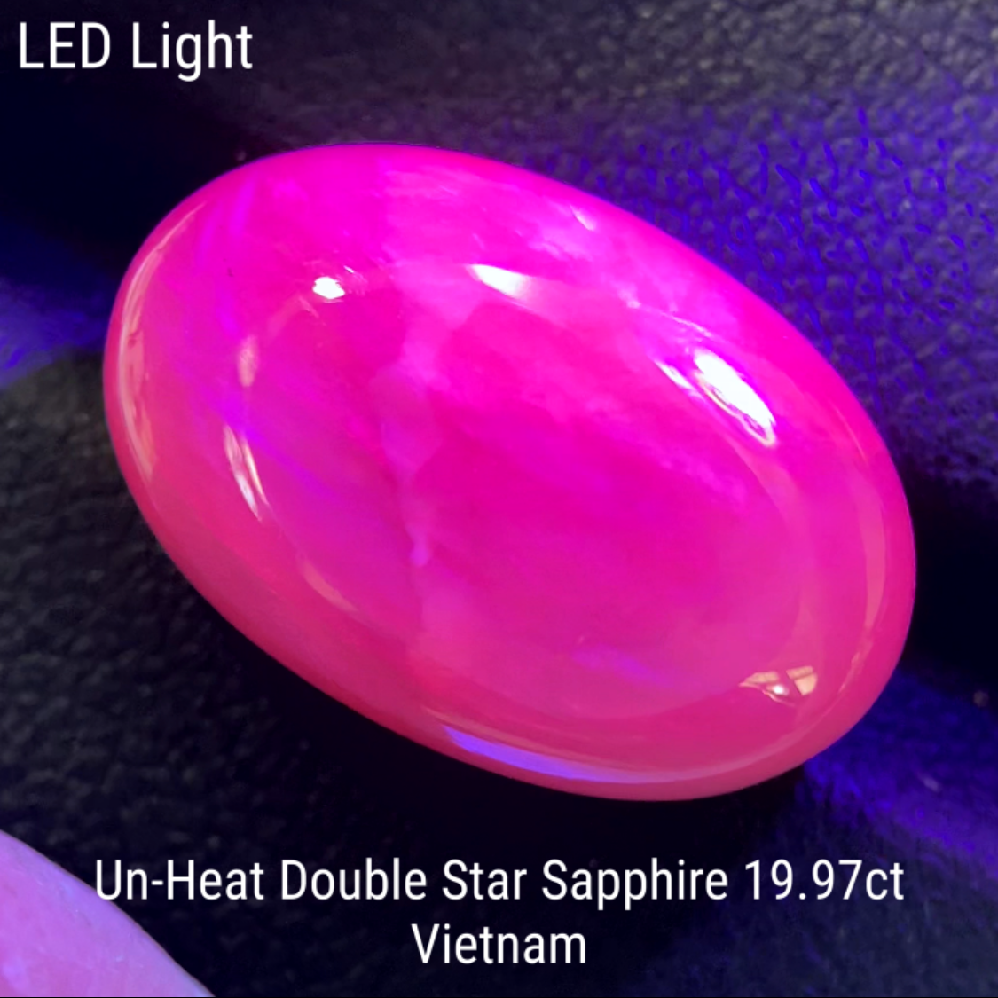 Un-Heat Double Star Sapphire 19.979ct / Vietnam