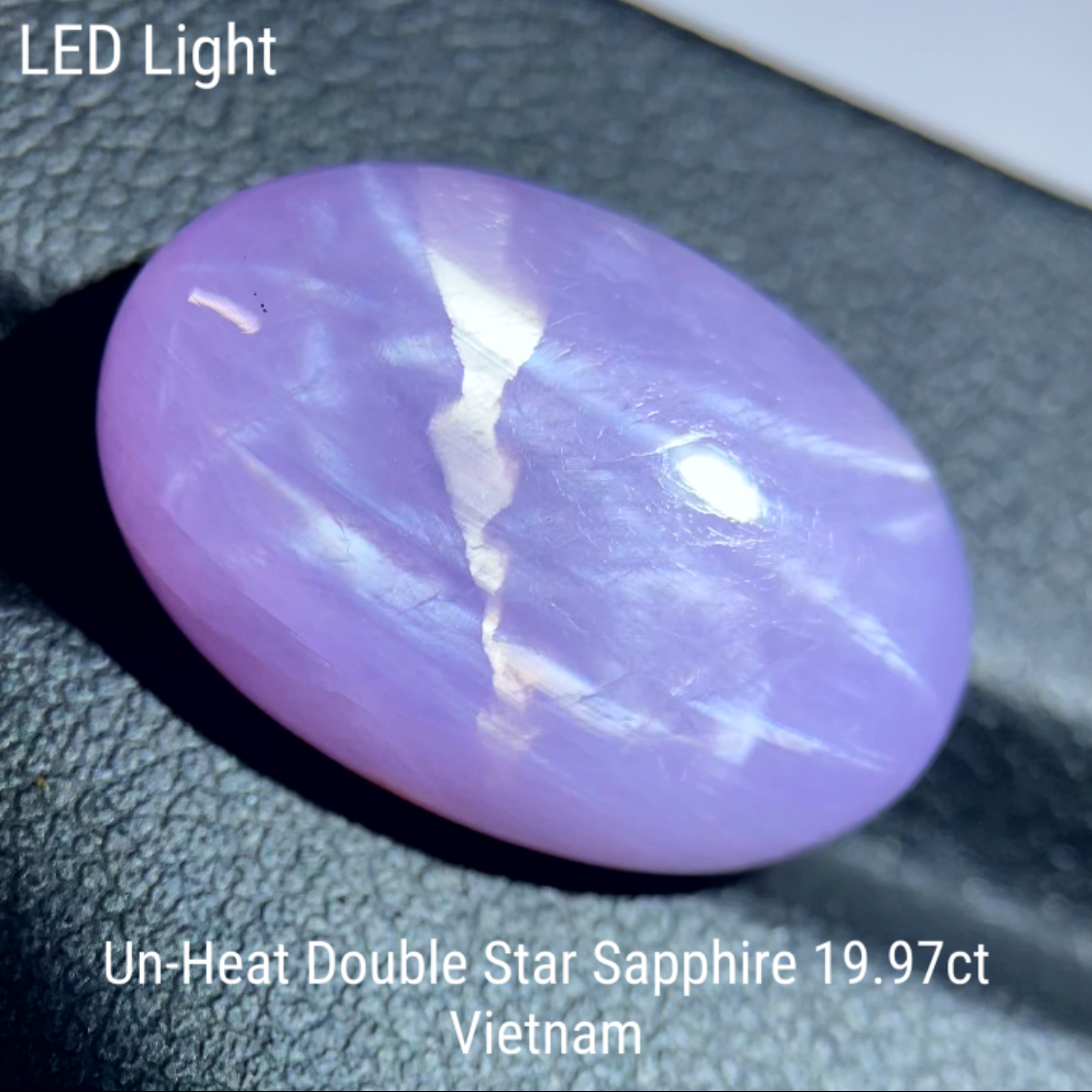 Un-Heat Double Star Sapphire 19.979ct / Vietnam
