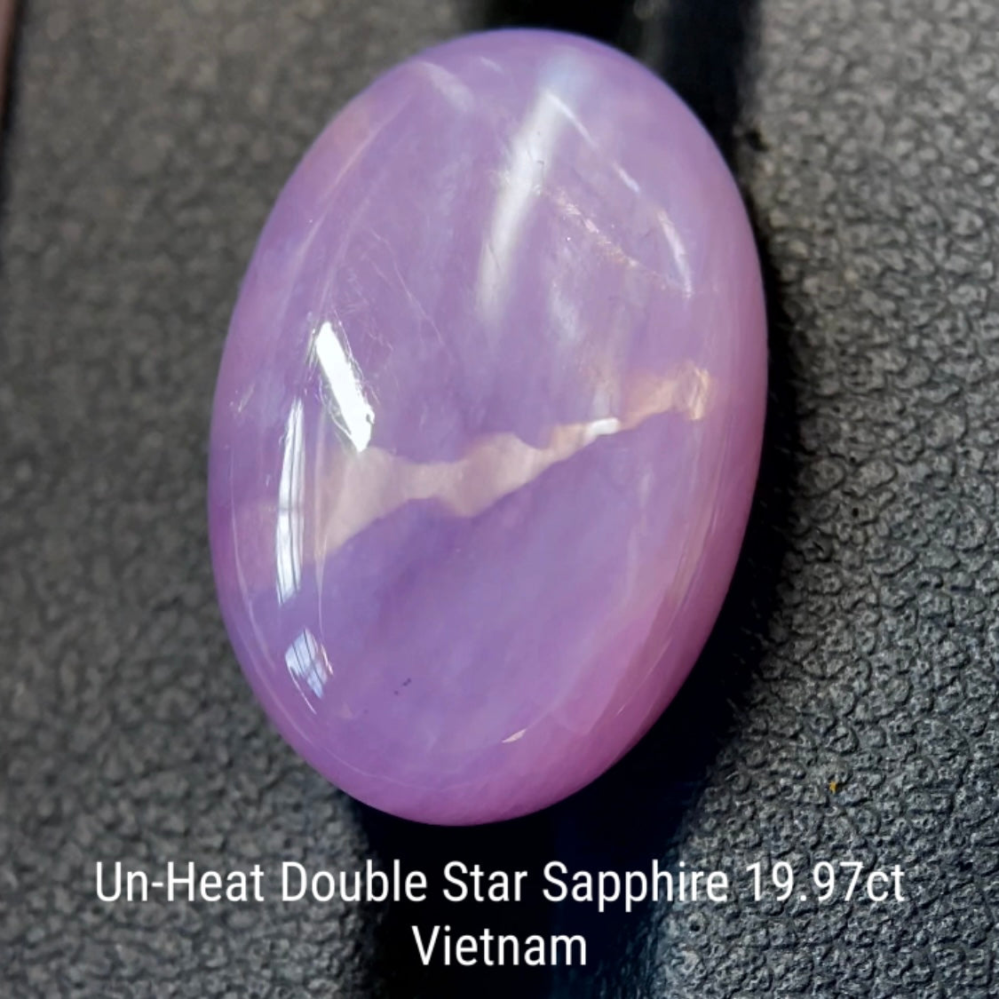 Un-Heat Double Star Sapphire 19.979ct / Vietnam