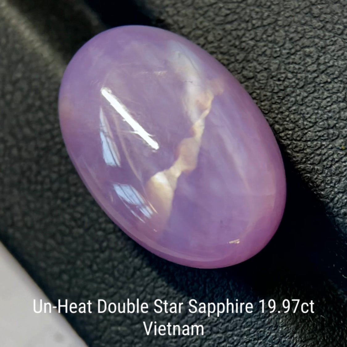Un-Heat Double Star Sapphire 19.979ct / Vietnam