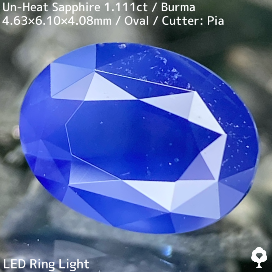 Un-Heat Sapphire 1.111ct / Burma