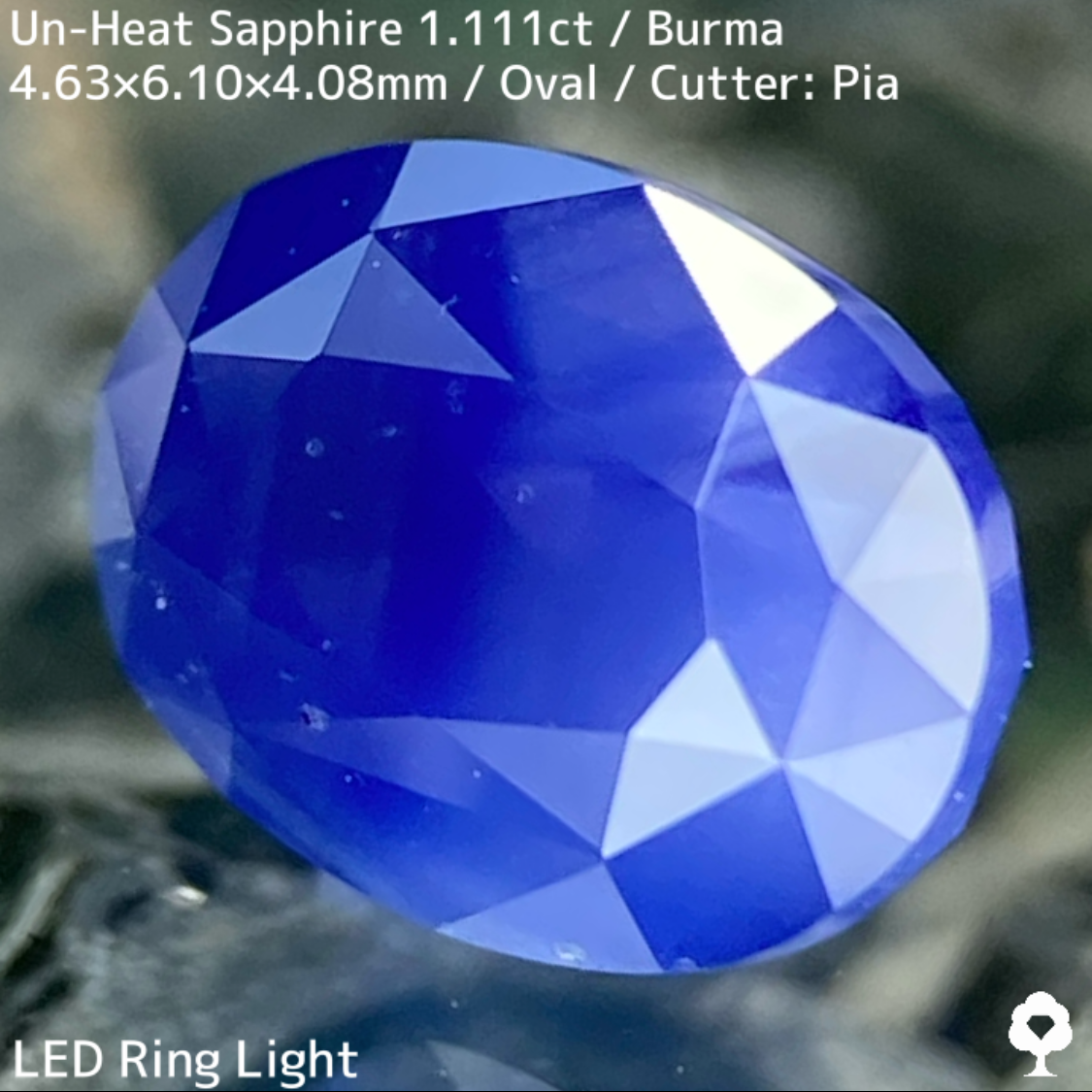 Un-Heat Sapphire 1.111ct / Burma