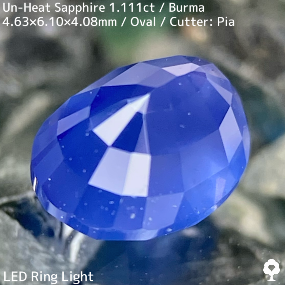 Un-Heat Sapphire 1.111ct / Burma