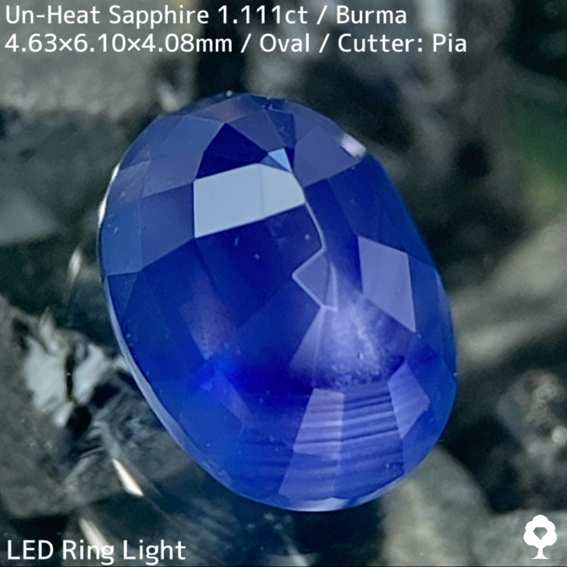 Un-Heat Sapphire 1.111ct / Burma