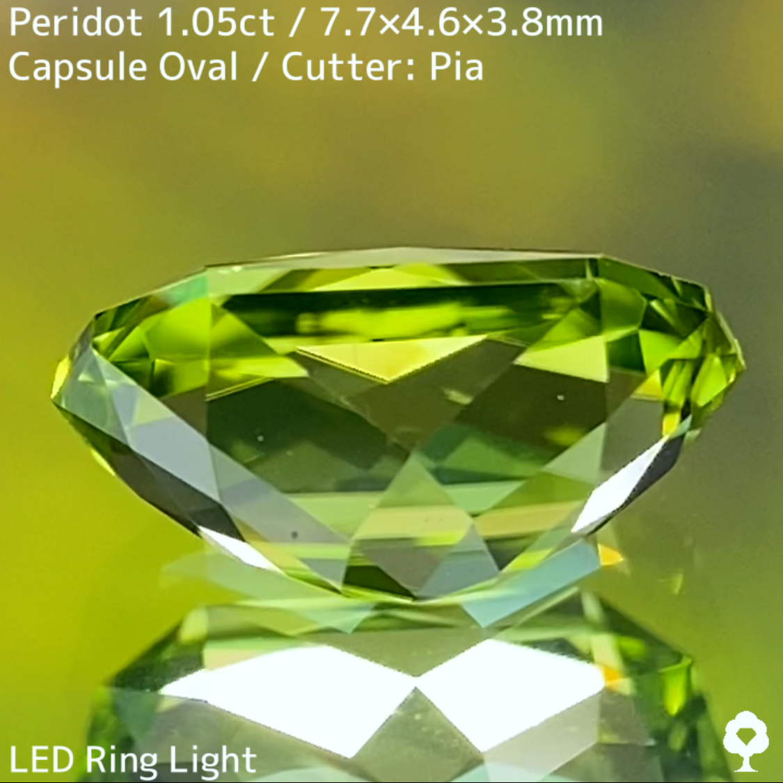 Peridot 1.05ct / U.S.A.