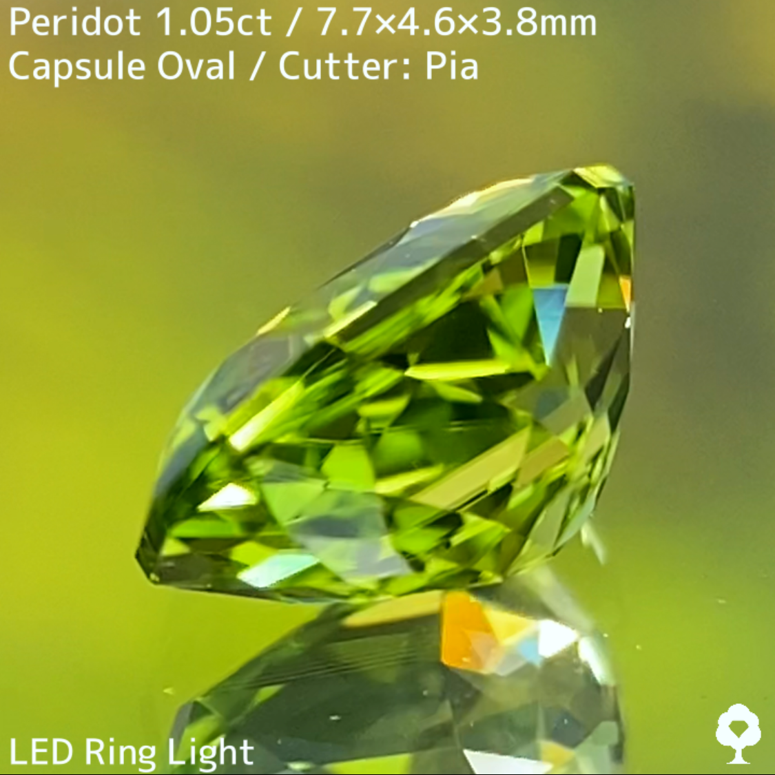 Peridot 1.05ct / U.S.A.