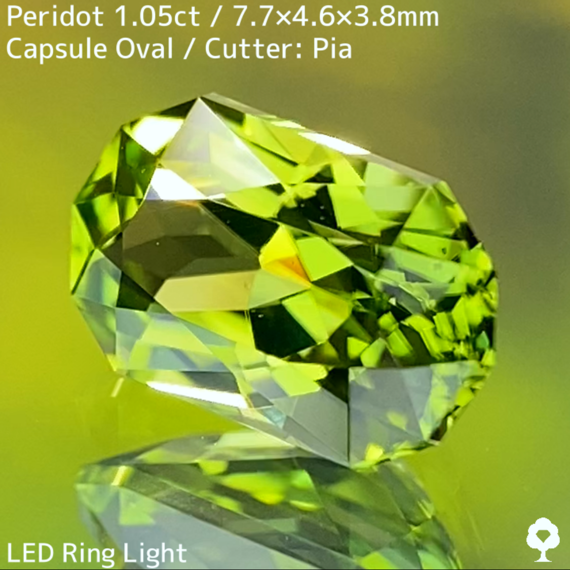 Peridot 1.05ct / U.S.A.