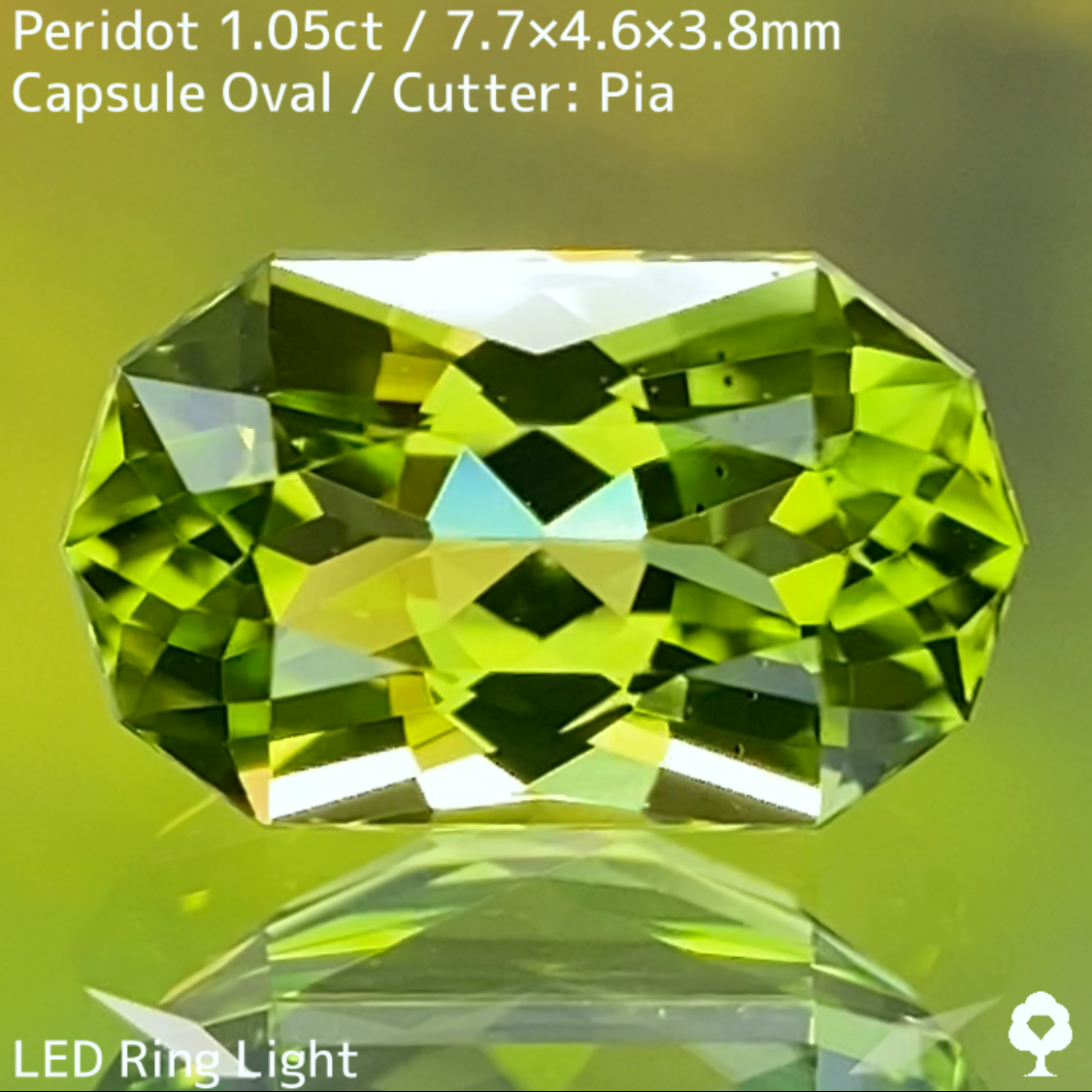 Peridot 1.05ct / U.S.A.