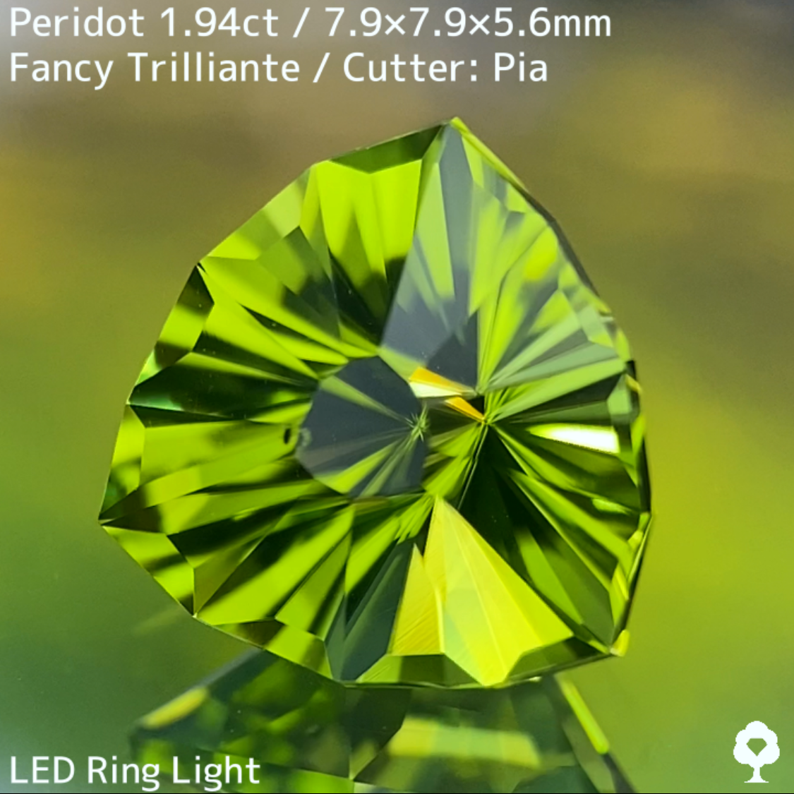 Peridot 1.94ct / Vietnam