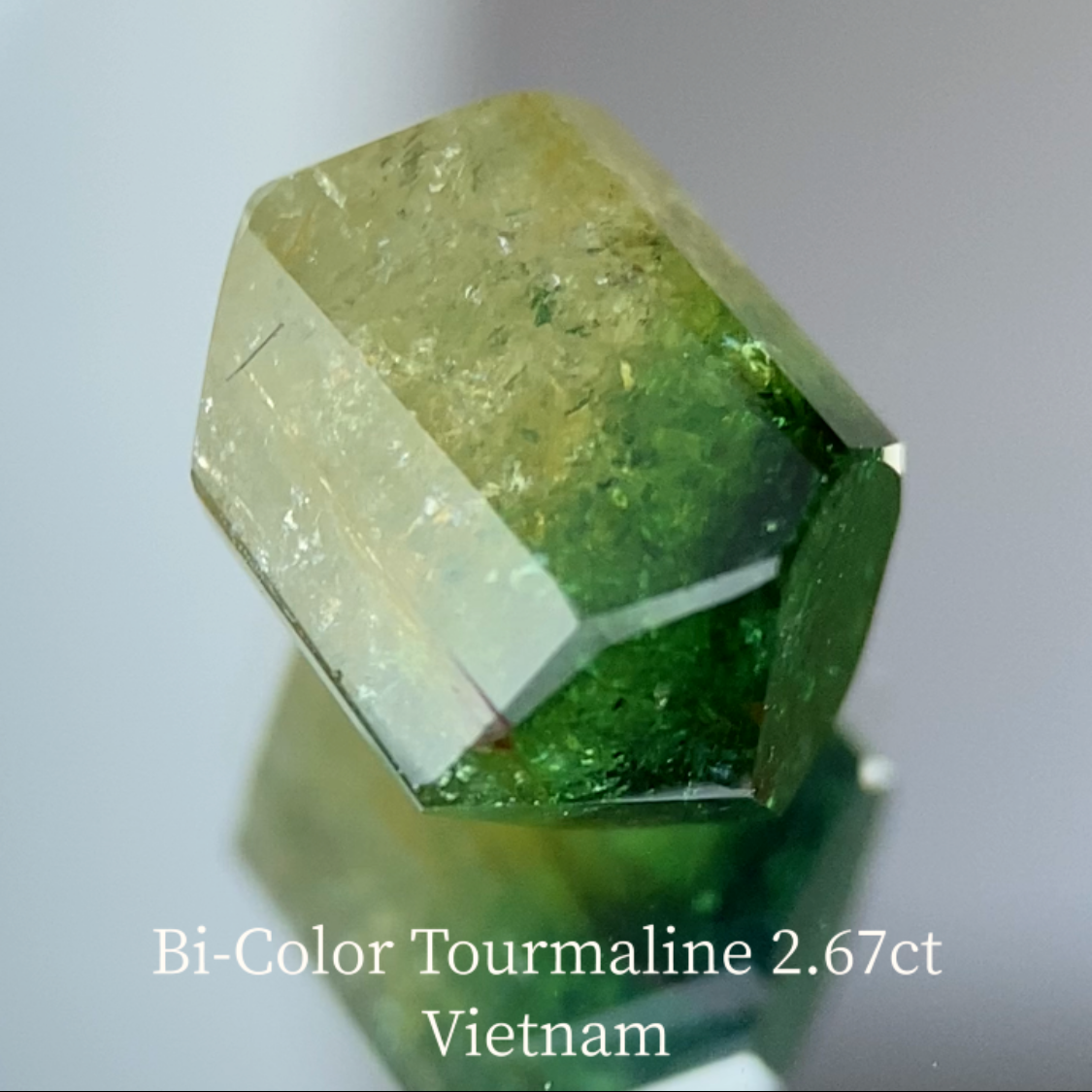 Bi-Color Tourmaline 2.67ct / Vietnam