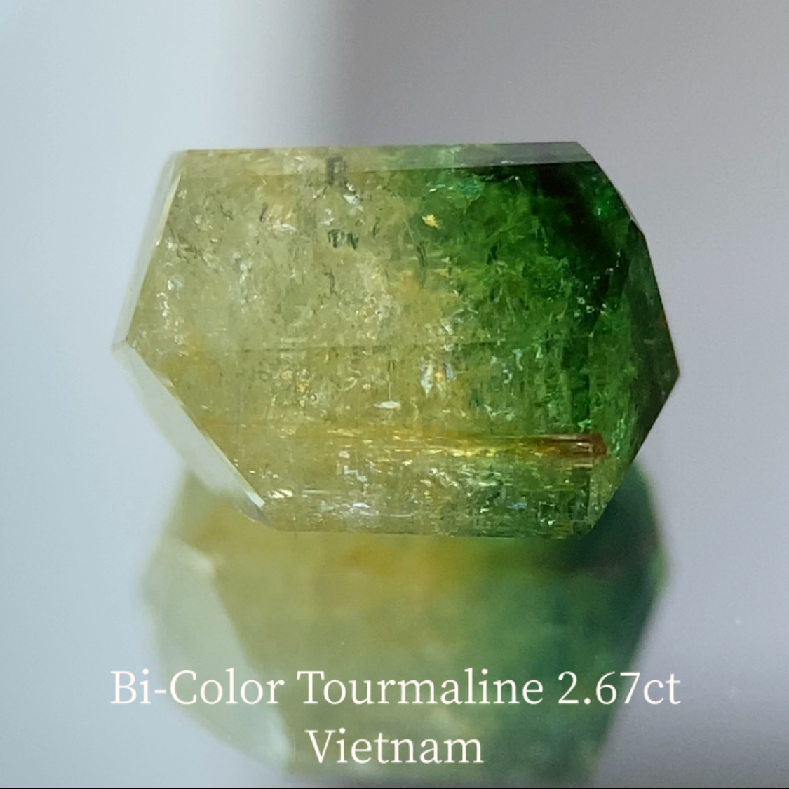 Bi-Color Tourmaline 2.67ct / Vietnam