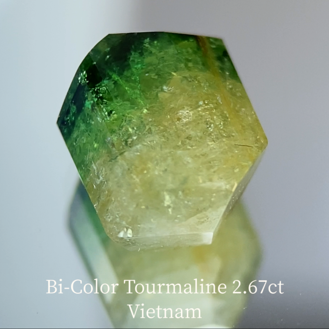 Bi-Color Tourmaline 2.67ct / Vietnam