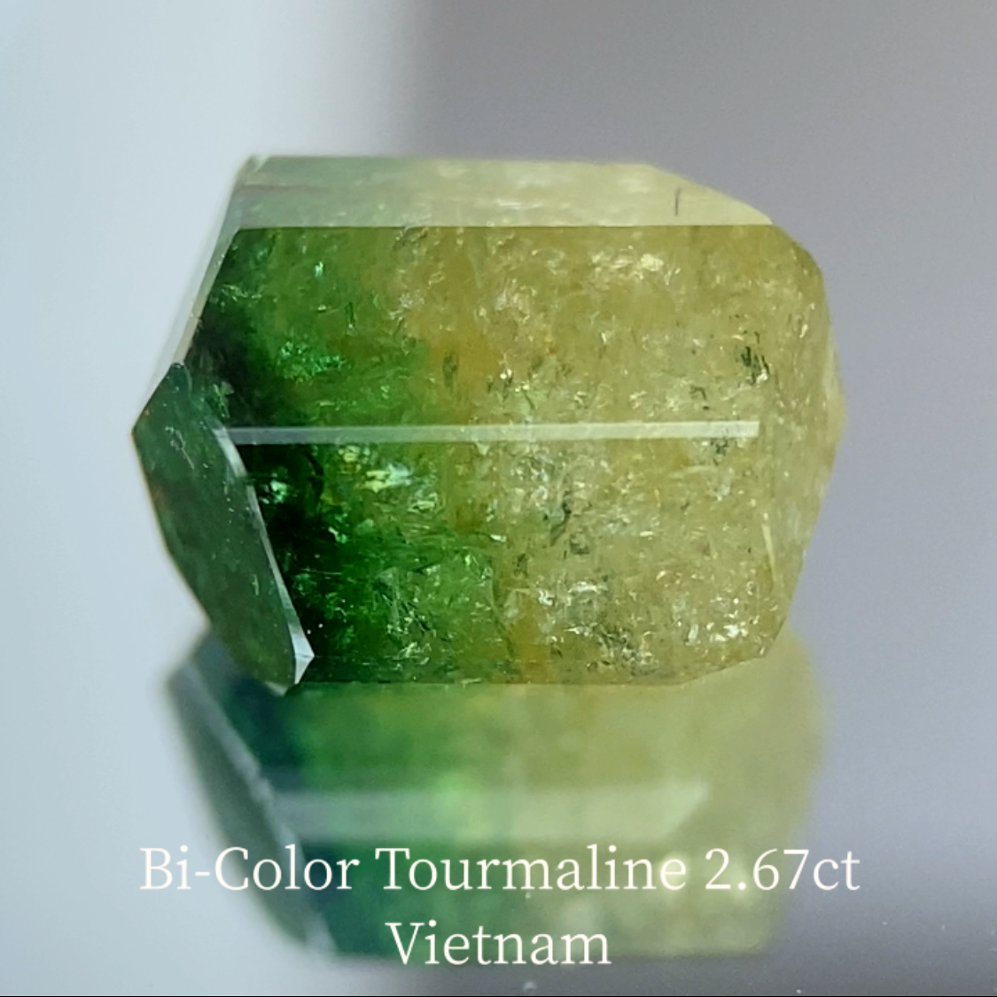 Bi-Color Tourmaline 2.67ct / Vietnam