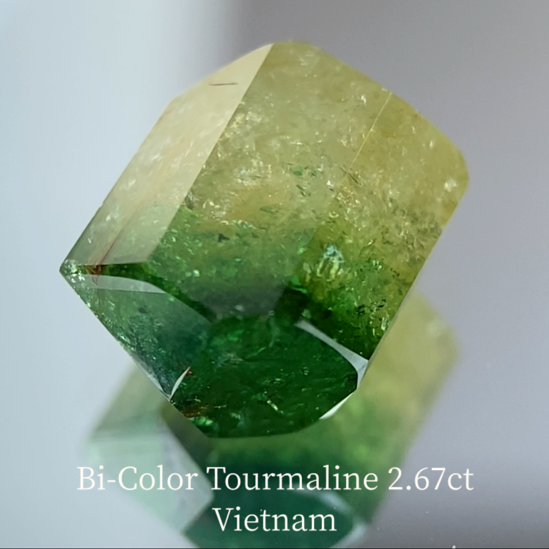 Bi-Color Tourmaline 2.67ct / Vietnam