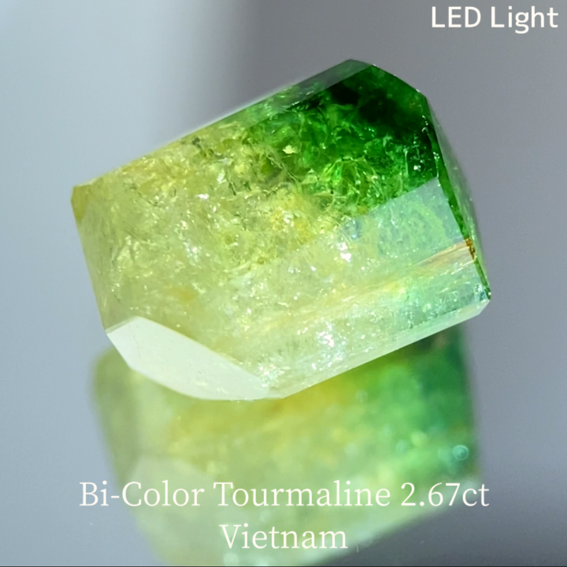 Bi-Color Tourmaline 2.67ct / Vietnam