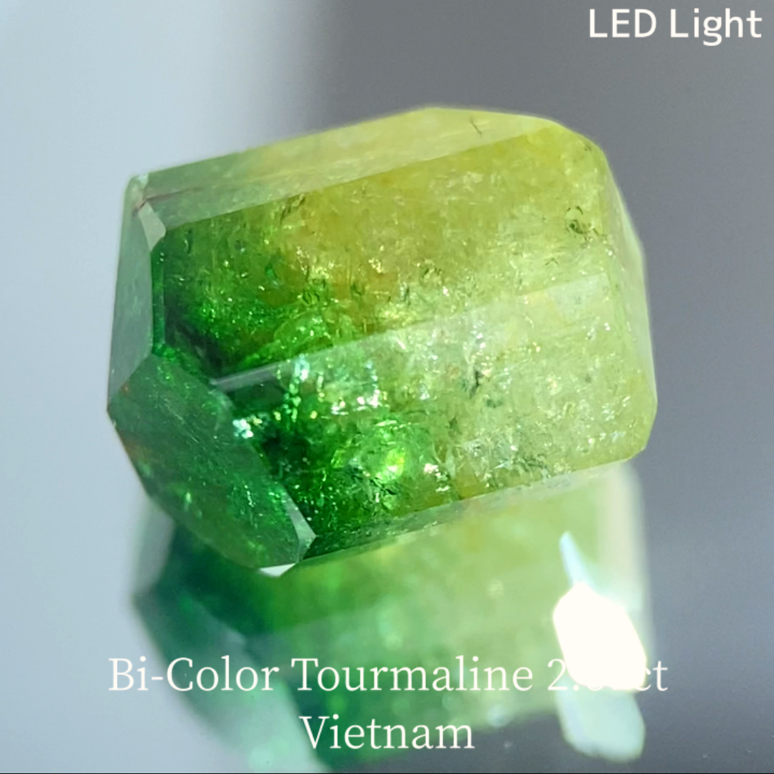Bi-Color Tourmaline 2.67ct / Vietnam