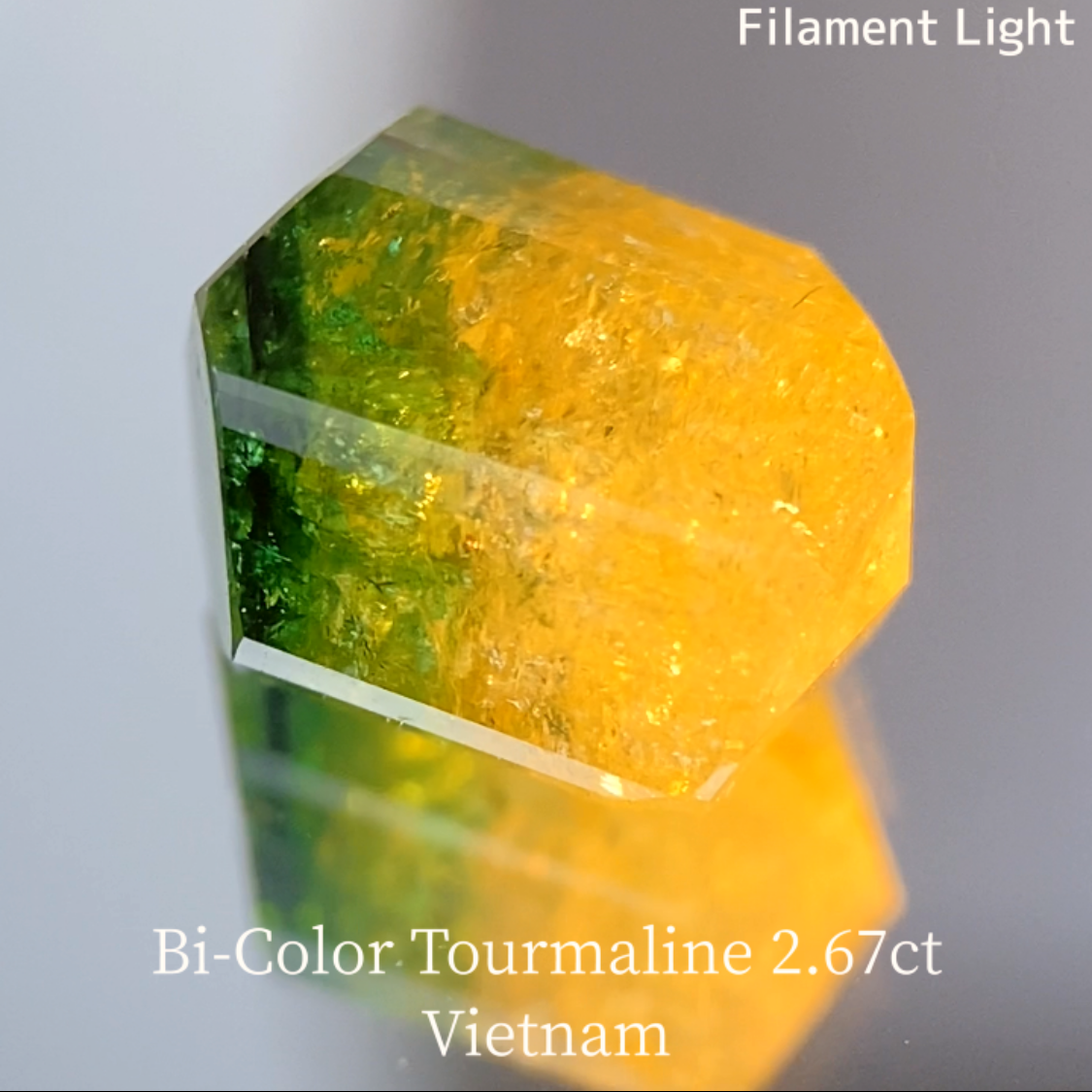Bi-Color Tourmaline 2.67ct / Vietnam