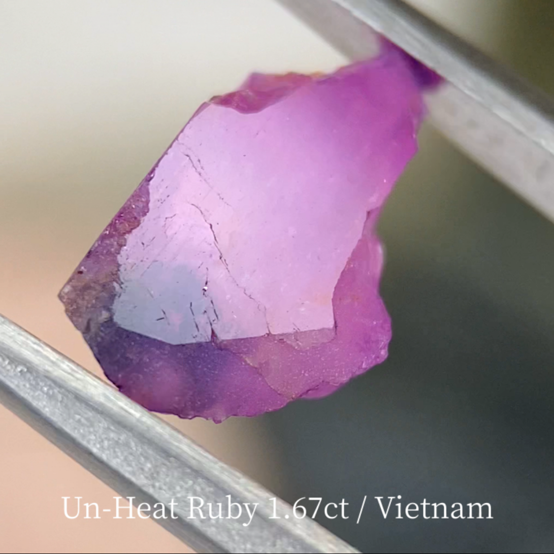 【お土産】Un-Heat Ruby 1.67ct / Vietnam