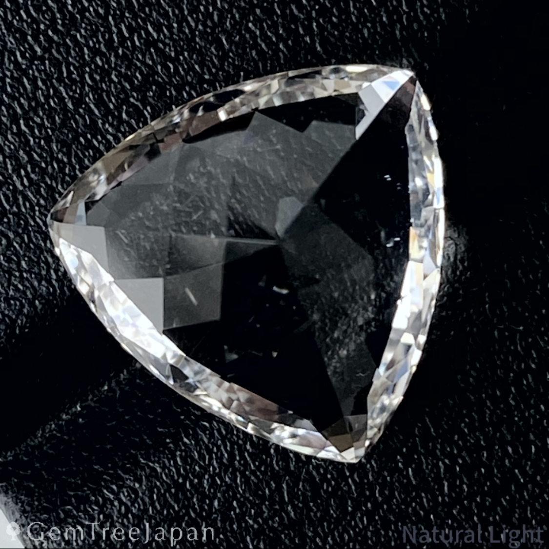 Goshenite (Colorless Beryl) 10.273ct / Brazil