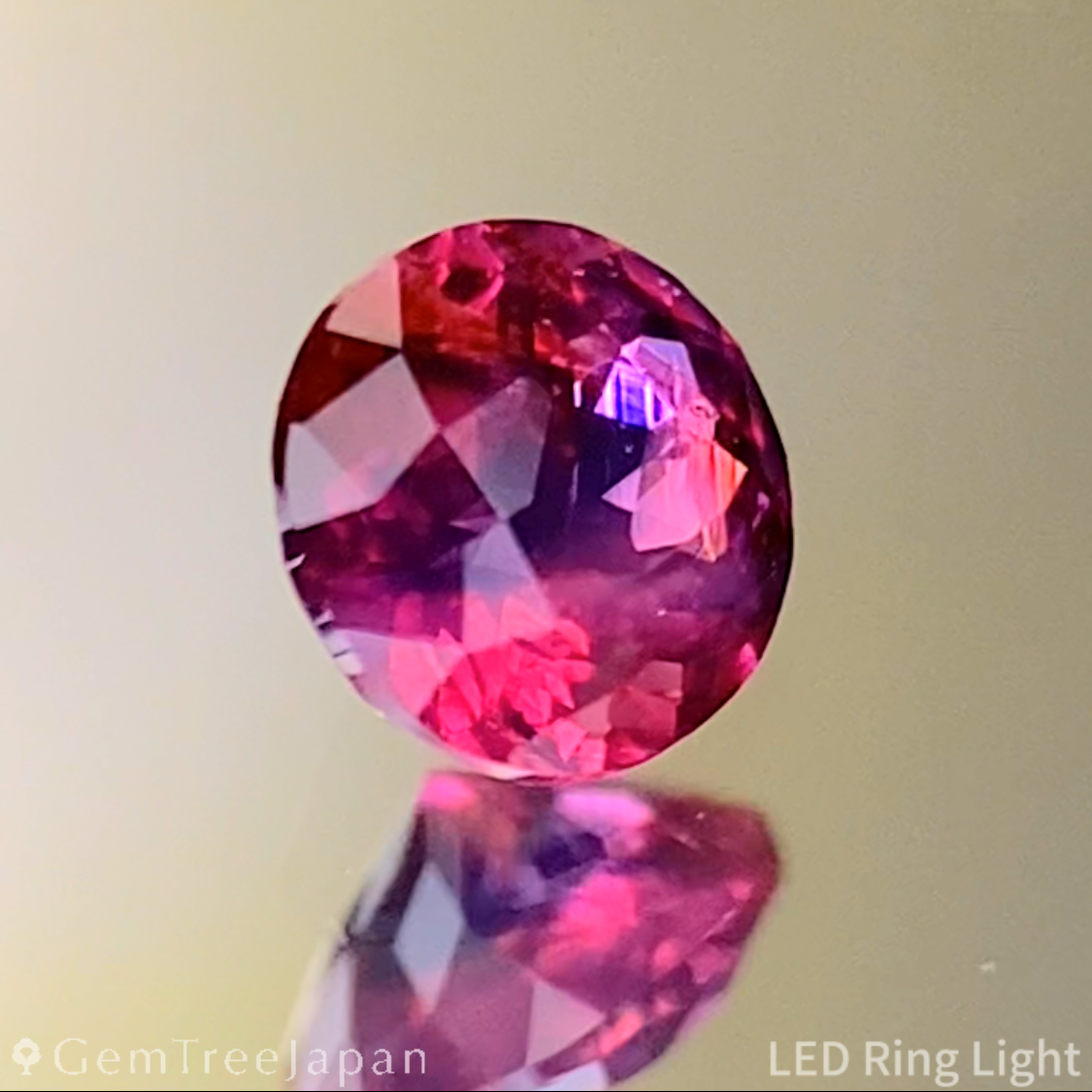 Un-Heat Ruby 0.257ct / Vietnam
