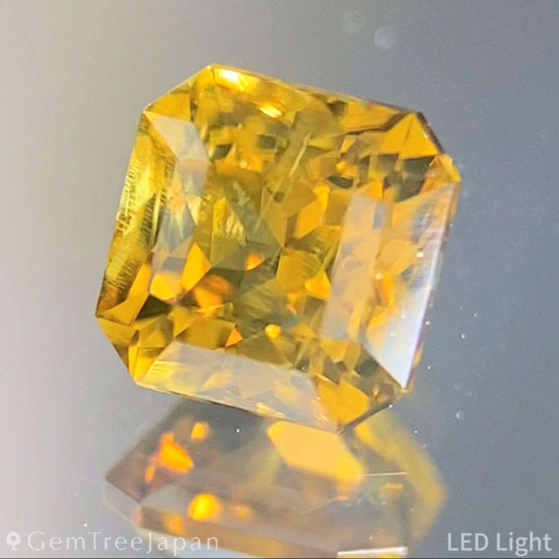 Zircon 1.230ct / Sri Lanka