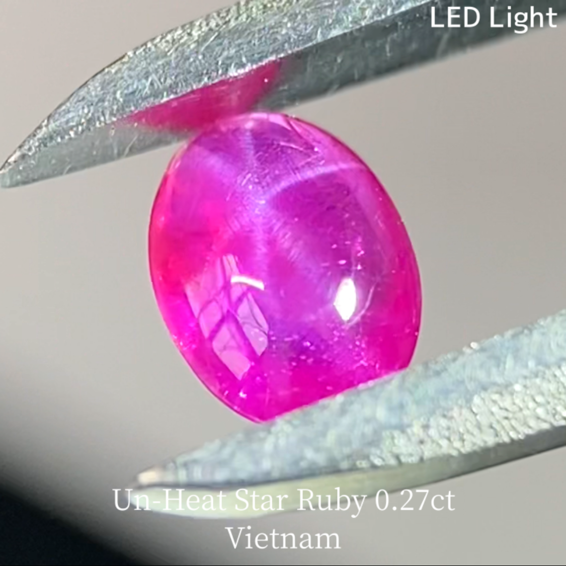 【5万円以上のお買物で無料に】Un-Heat Star Ruby 0.275ct / Vietnam